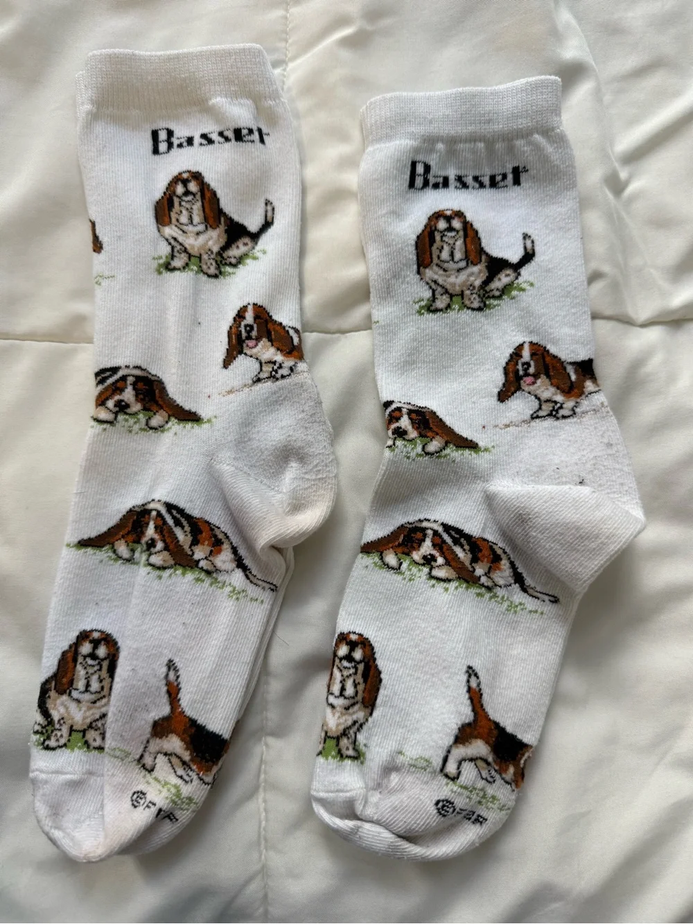 Basset Hound Dog Cotton Socks